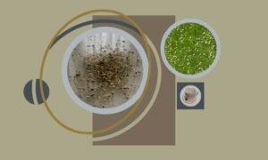 como_preparar_te_de_oregano_con_manzanilla