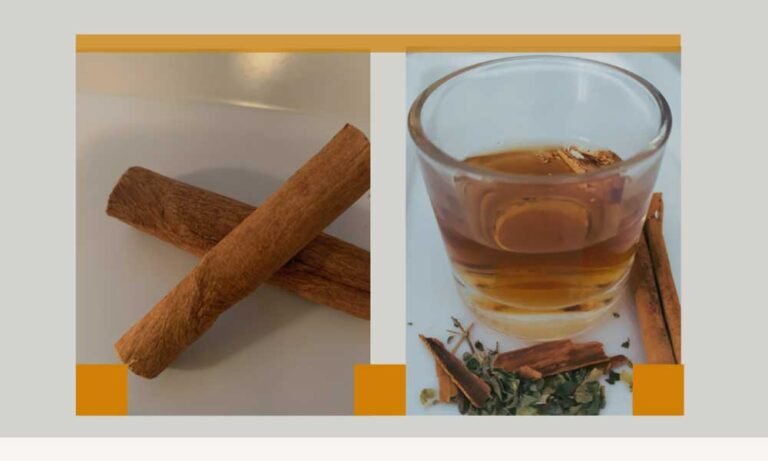 como_se_prepara_te_de_oregano_y_canela