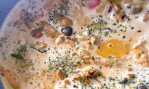 strogonoff de pollo con oregano